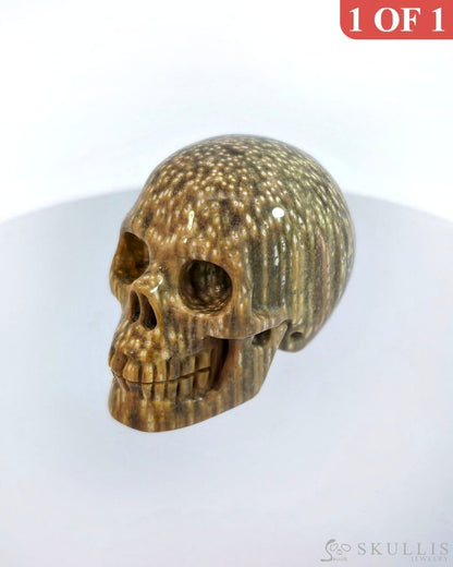 Gem Skull Of Coral Fossil Carved Realistic Tiny Gemstone
