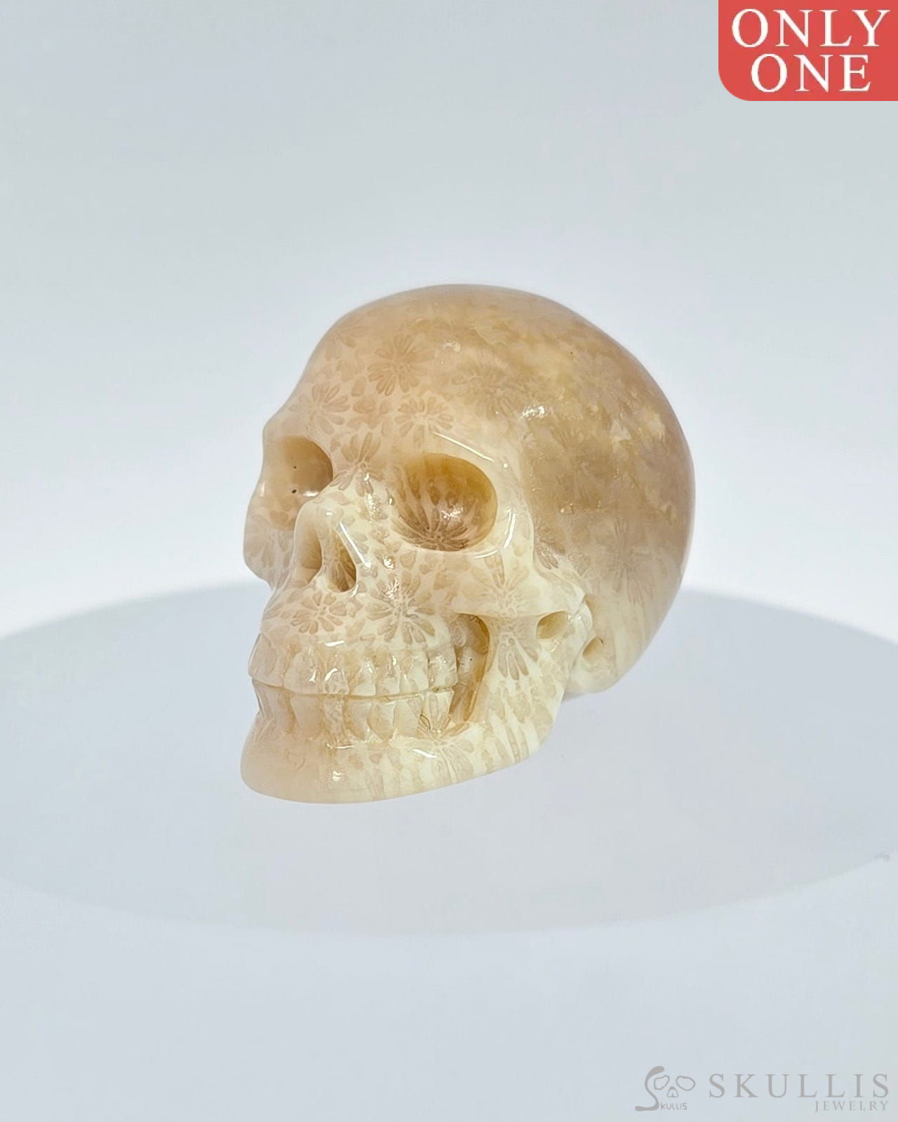 1.1’’ Coral Fossil Carved Gem Skull Skullis Realistic - I9500068 Tiny Gemstone