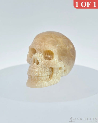1.1’’ Coral Fossil Carved Gem Skull Skullis Realistic - I9500068 Tiny Gemstone