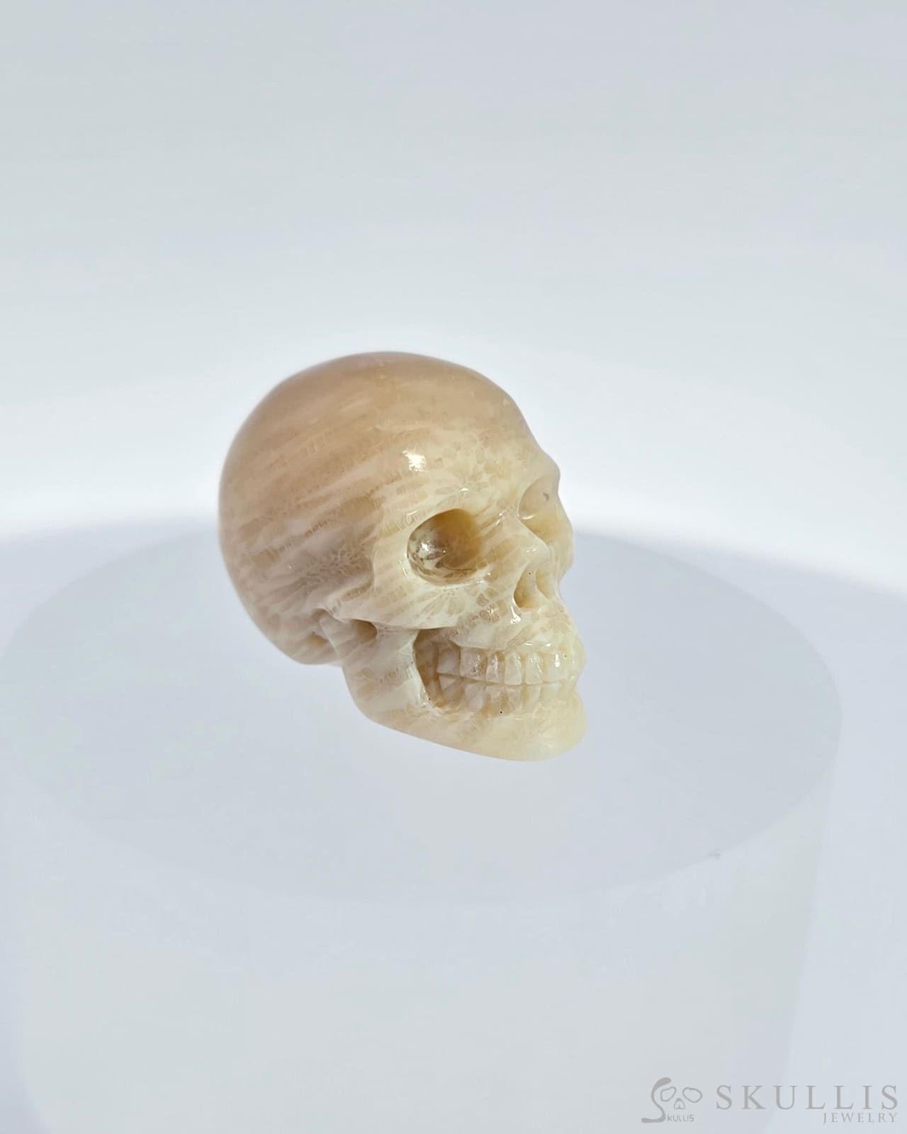 1.1’’ Coral Fossil Carved Gem Skull Skullis Realistic - I9500068 Tiny Gemstone