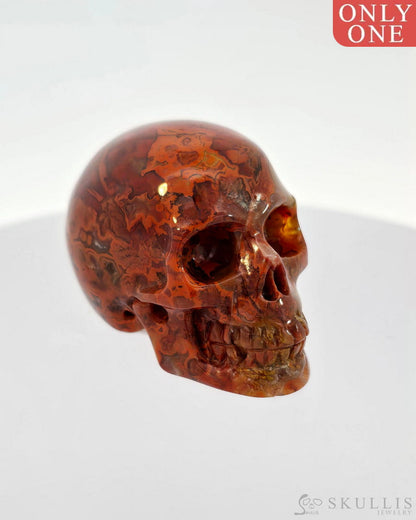 Gem Skull Of Red Crazy Lace Agate Carved Realistic Tiny Gemstone