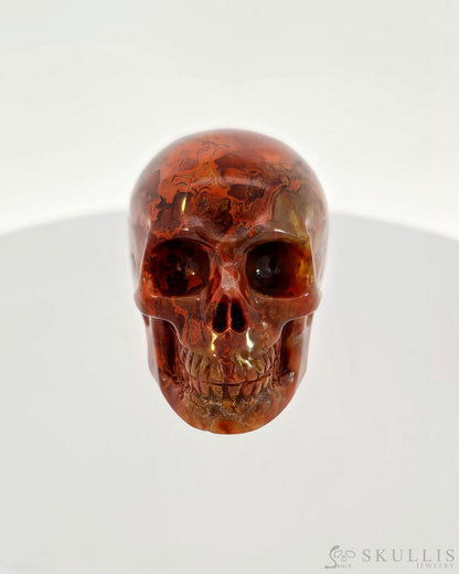 Gem Skull Of Red Crazy Lace Agate Carved Realistic Tiny Gemstone