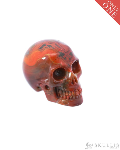 1.1’’ Empire Red Agate Carved Gem Skull Skullis Realistic - 9500090 Tiny Gemstone