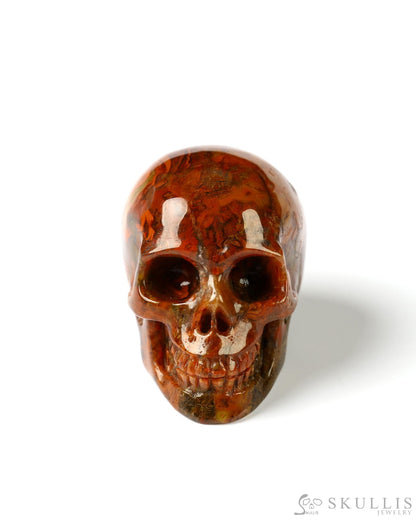 1.1’’ Red Crazy Lace Agate Carved Gem Skull Skullis Realistic - 9800021 Tiny Gemstone