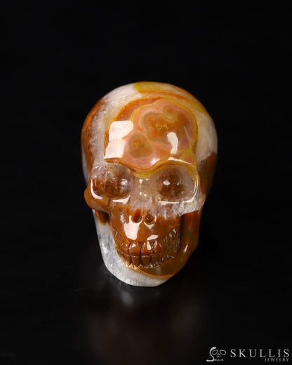 1.1’’ Empire Red Agate Carved Gem Skull Skullis Realistic - 9800024 Tiny Gemstone