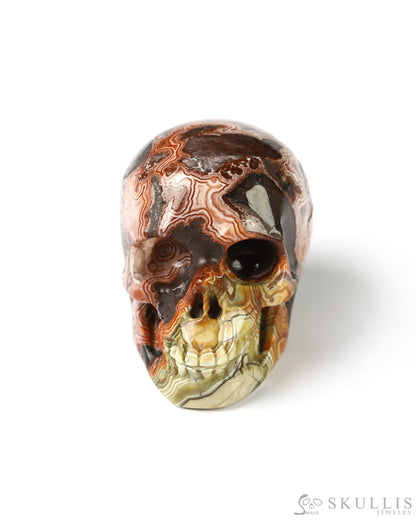1.1’’ Red Crazy Lace Agate Carved Gem Skull Skullis Realistic - 9800022 Tiny Gemstone
