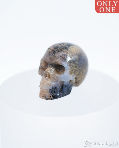 1.1’’ Sagenitic Agate Carved Gem Skull Skullis Realistic - 0500035 Tiny Gemstone Skull