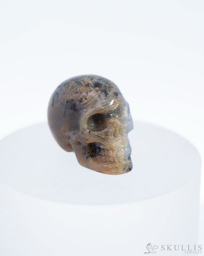 1.1’’ Sagenitic Agate Carved Gem Skull Skullis Realistic - 0500035 Tiny Gemstone Skull