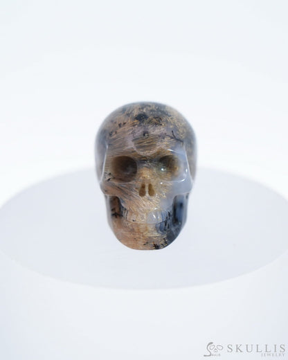 1.1’’ Sagenitic Agate Carved Gem Skull Skullis Realistic - 0500035 Tiny Gemstone Skull