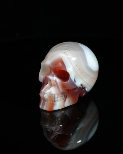 1.5’’ Mozambique Agate Carved Gem Skull Skullis Realistic - 0500045 Tiny Gemstone Skull