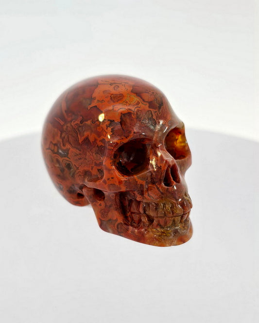 1.1" Empire Red Agate Carved Gem Skull, Skullis Realistic - 9500053