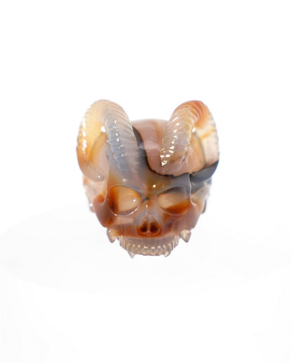 Gem Skull Ring of Premium Brazilian Agate Carved Skull Totally US size 8 - 9500187 Skull Rings