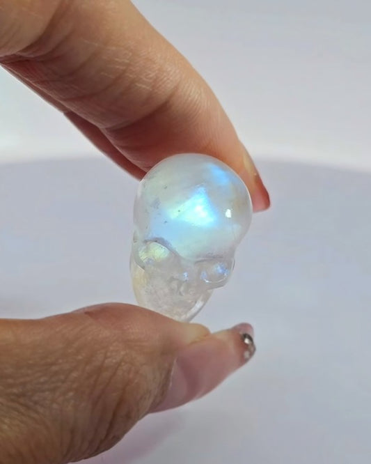 Flash 0.8" Moonstone Carved Gem Skull, Skullis Realistic - 9800029