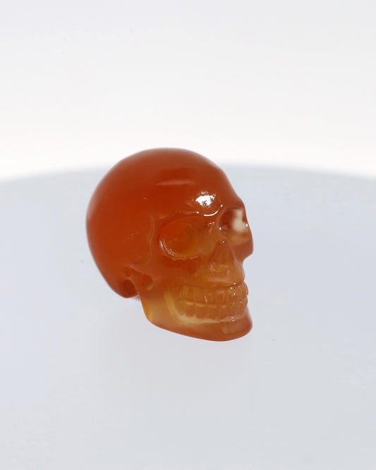 0.5" Carnelian Carved Gem Skull, Skullis Realistic - 9800060