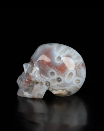 1.3’’ Mozambique Agate Carved Gem Skull Skullis Realistic - 9800187 Tiny Gemstone Skull