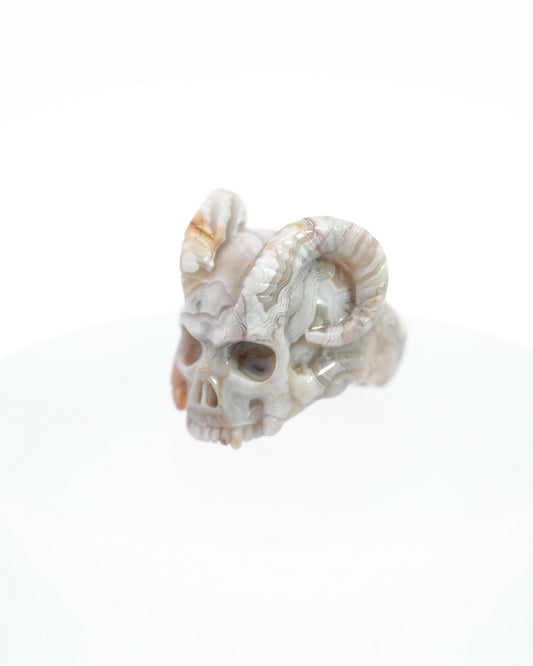 Gem Skull Ring of Crazy Lace Agate Carved Skull, US size 7 - 0500022