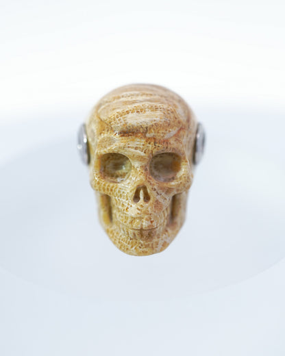 Skullis Signature Coral Fossil Gem Skull Pendant or Necklace, Hand Carved, Sterling Silver 925 Chain, for Women & Men - 9500097