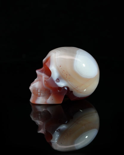 1.5’’ Mozambique Agate Carved Gem Skull Skullis Realistic - 0500045 Tiny Gemstone Skull