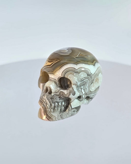 Nice Pattern 0.9" Crazy Lace Agate Carved Gem Skull, Skullis Realistic - 9500056