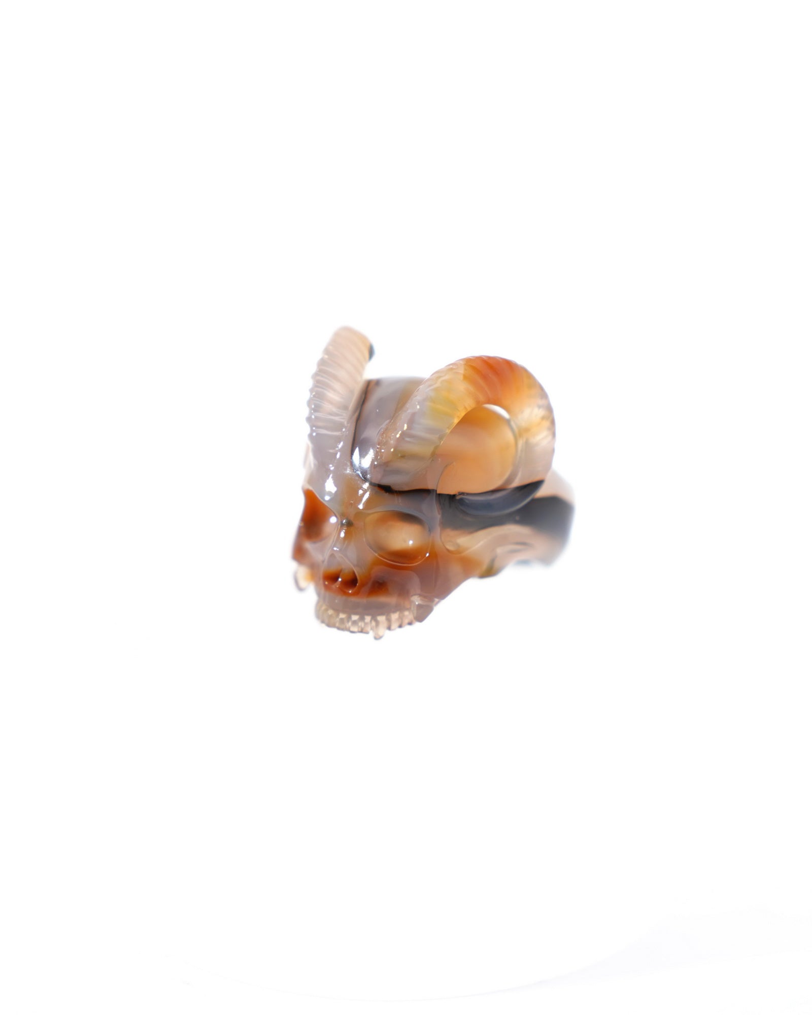 Gem Skull Ring of Premium Brazilian Agate Carved Skull Totally US size 8 - 9500187 Skull Rings