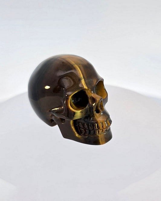 Super Flash 1.4" Gold Tiger's Eye Carved Gem Skull, Skullis Realistic - 0506511