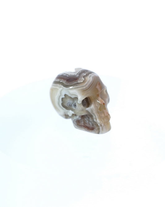 0.8" Red Crazy Lace Agate Carved Gem Skull, Skullis Realistic - 9500013