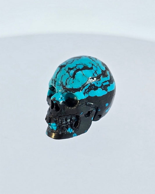 0.5" Turquoise Carved Gem Skull, Skullis Realistic - 9500062