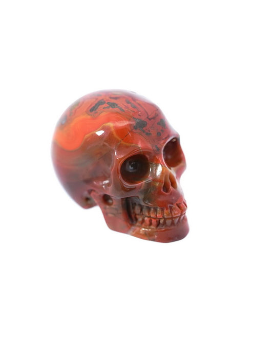 1.1" Empire Red Agate Carved Gem Skull, Skullis Realistic - 9500090