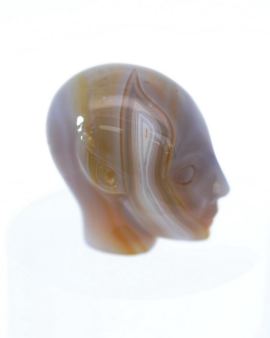 1.7" Agate Carved Gem Skull, Skullis Realistic - 9500098