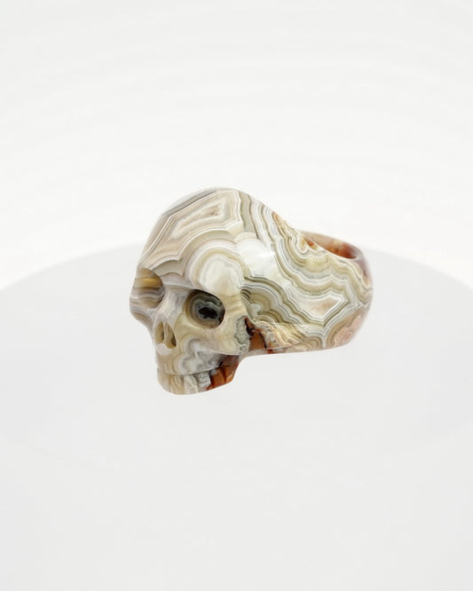 Gem Skull Ring of Red Crazy Lace Agate Carved Skull, US size 11 - 9500125