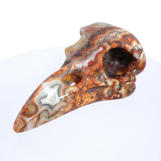 Gem Raven Skull Pendant Necklace of Red Crazy Lace Agate Carved Raven Skull - 9500162