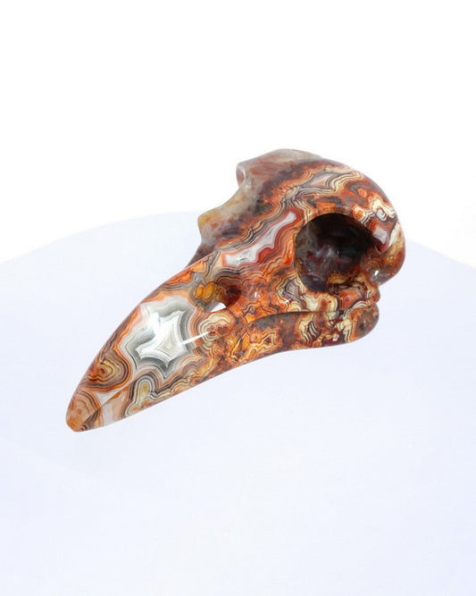Night Pathfinder - Gem Raven Skull Pendant Necklace of Red Crazy Lace Agate Carved Raven Skull - 9500162
