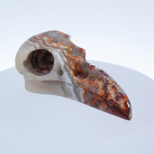 Gem Raven Skull Pendant Necklace of Red Crazy Lace Agate Carved Raven Skull - 9500169