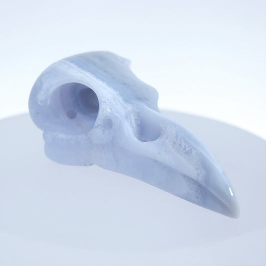 Gem Raven Skull Pendant Necklace of Blue Lace Agate Crystal Raven Pendant - 9500178