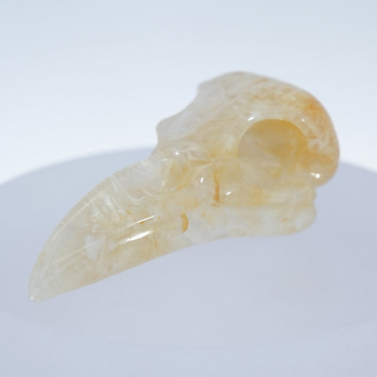 Gem Raven Skull Pendant Necklace of Agate Crystal Raven Pendant - 9500180