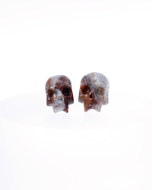 The Pure Relic - Gem Skull Earrings of Red Crazy Lace Agate Carved Skull, 925 Sterling Silver - 9500185