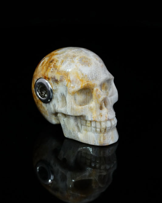 Skullis Signature Coral Fossil Gem Skull Pendant or Necklace, Hand Carved, Sterling Silver 925 Chain, for Women & Men - 9500209