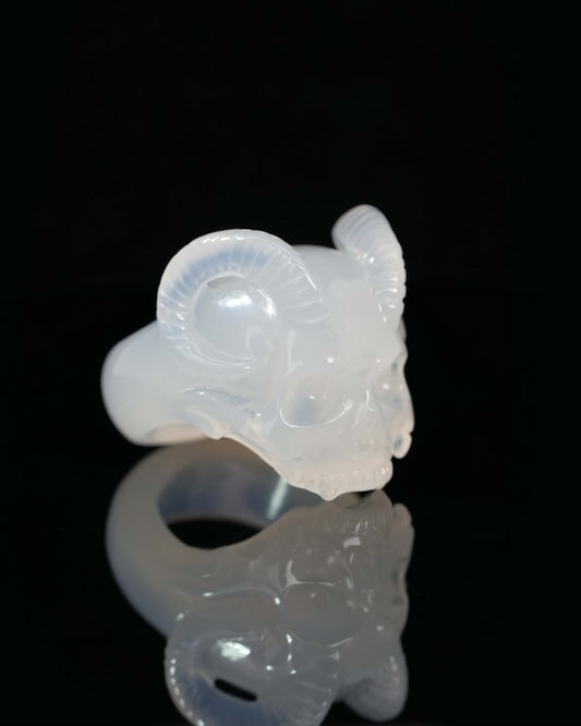 Gem Skull Ring of Agate Carved Beast Skull, US size 11 - 9500231