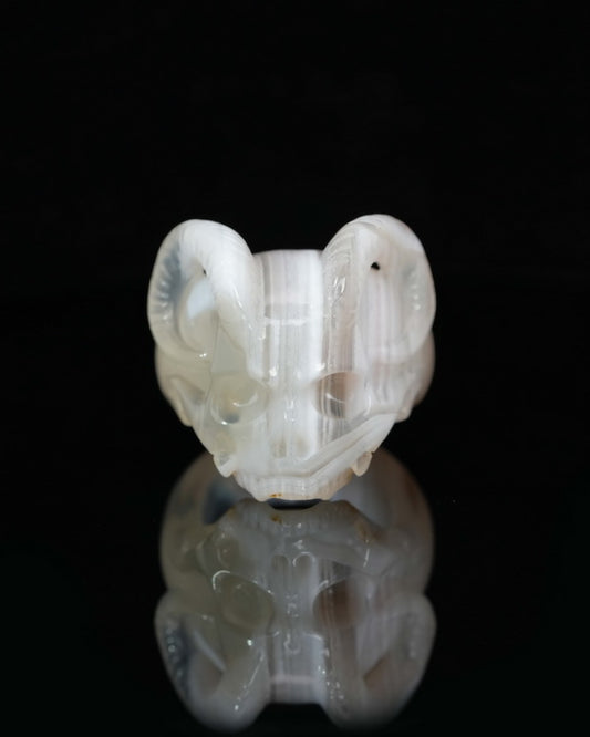 Gem Skull Ring of Mozambique Agate Carved Beast Skull, US size 11 - 9500232