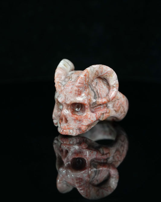Gem Skull Ring of Red Crazy Lace Agate Carved Beast Skull, US size 9.5 - 9500233
