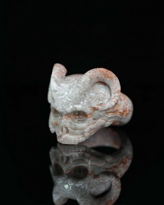 Gem Skull Ring of Red Crazy Lace Agate Carved Beast Skull, US size 13 - 9500234