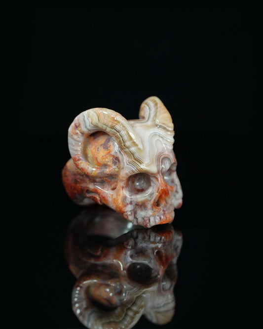 Gem Skull Ring of Red Crazy Lace Agate Carved Beast Skull, US size 6.5 - 9500235