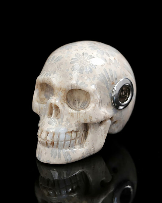 Skullis Signature Spiderweb Coral Fossil Gem Skull Pendant or Necklace, Hand Carved, for Women & Men -9500242