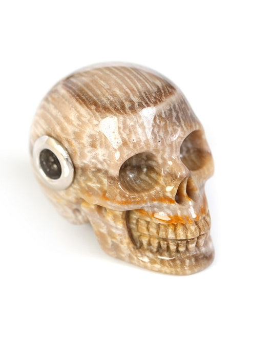 Skullis Signature Petrified Wood Gem Skull Pendant or Necklace, Hand Carved, Sterling Silver 925 Chain, for Women & Men - 9500243