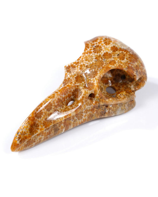 Gem Raven Skull Pendant Necklace of Coral Fossil Crystal Raven Pendant - 9500316