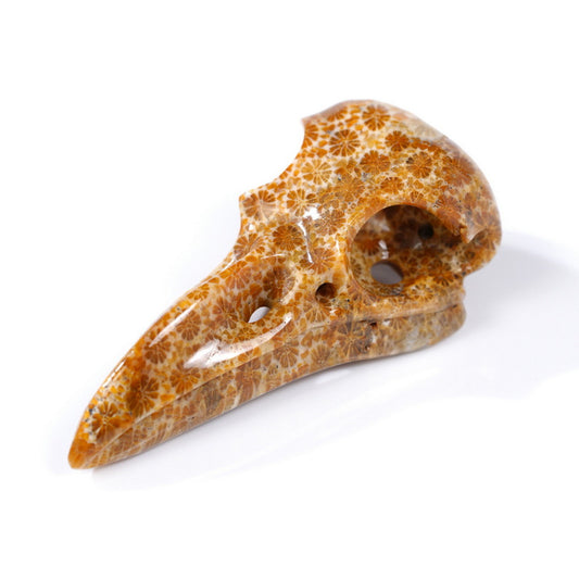 Gem Raven Skull Pendant Necklace of Coral Fossil Crystal Raven Pendant - 9500316