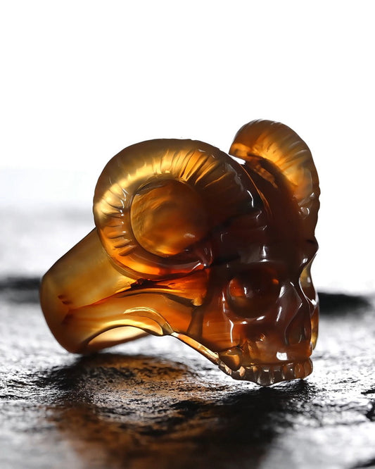The Gentle Wild - Gem Skull Ring of Agate Carved Beast Skull, US size 9.5 -ZR19500329