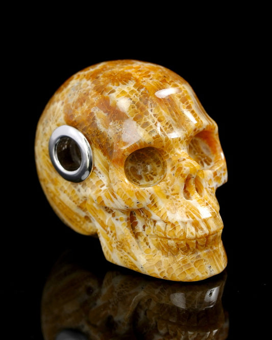 Skullis Signature Coral Fossil Gem Skull Pendant or Necklace, Hand Carved, Sterling Silver 925 Chain, for Women & Men - 9500342