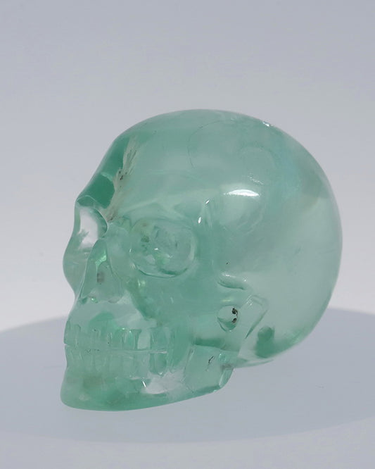 Gem Skull of Fluorite Carved Skull, Realistic