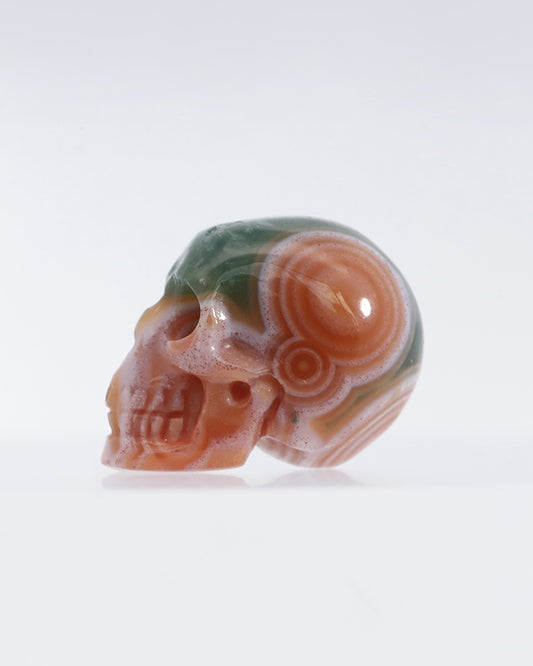 Rare Pattern 0.5" Ocean Jasper Carved Gem Skull, Skullis Realistic - 9800061